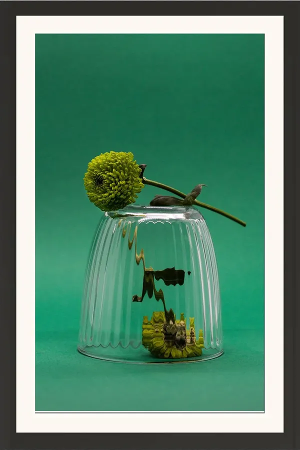 Chrysanthemum_Flower_Framed_Photo_Wall_Hanging_Without_Glass