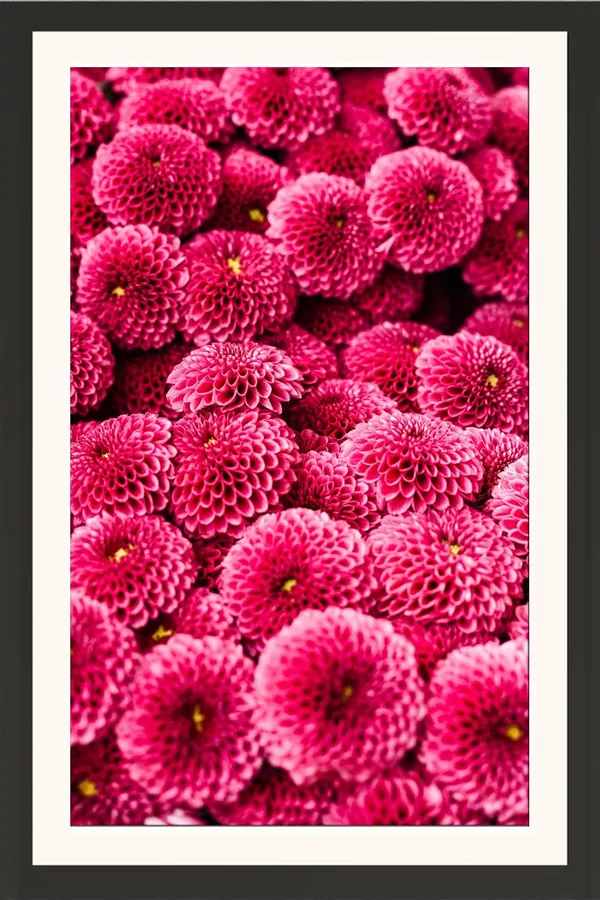 Chrysanthemum_Flower_Framed_Photo_Wall_Hanging_Without_Glass