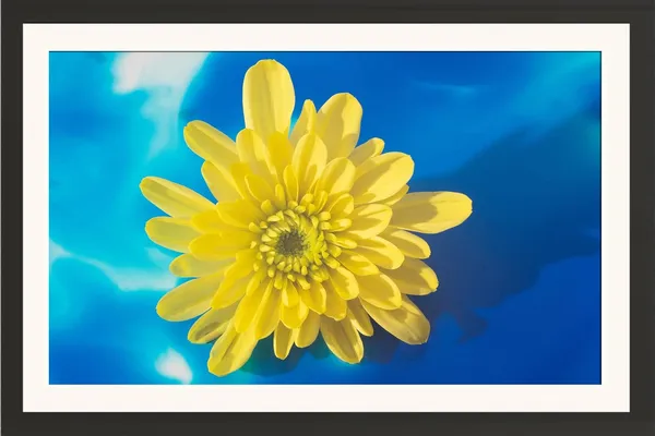 Chrysanthemum_Flower_Framed_Photo_Wall_Hanging_Without_Glass