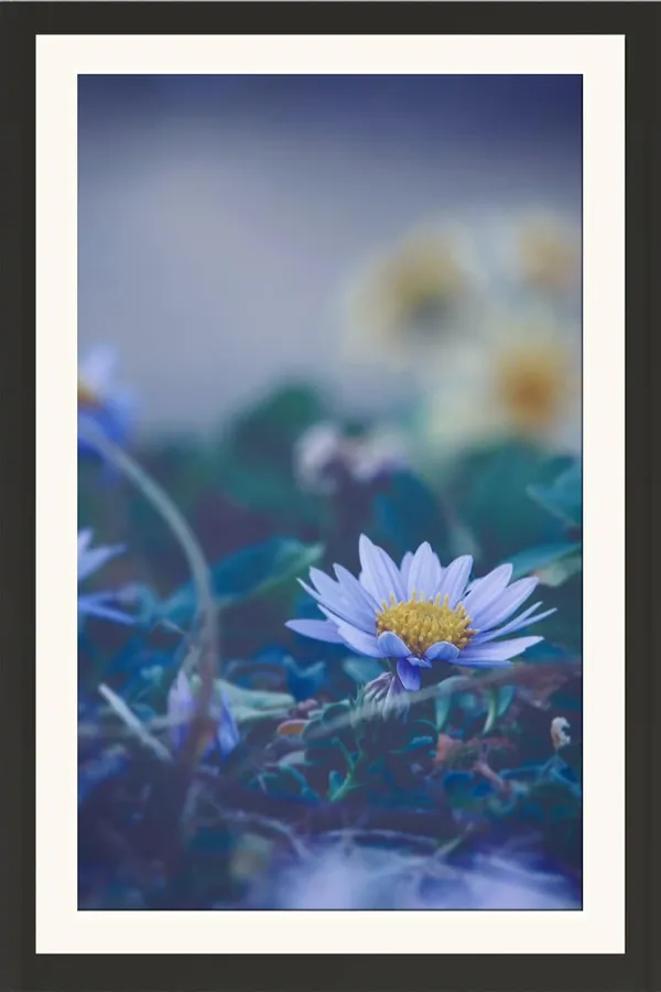 Chrysanthemum_Flower_Framed_Photo_Wall_Hanging_Without_Glass