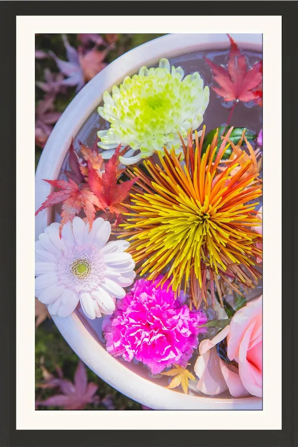 Chrysanthemum_Flower_Wall_Hanging_Framed_Photo_Without_Glass