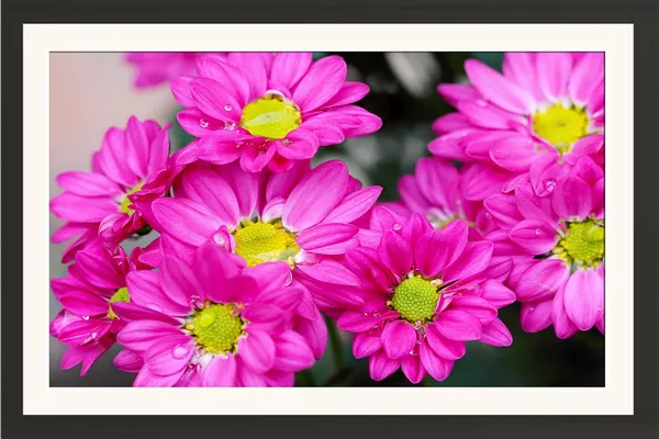 Chrysanthemum_Flower_Wall_Hanging_Frame_Without_Glass