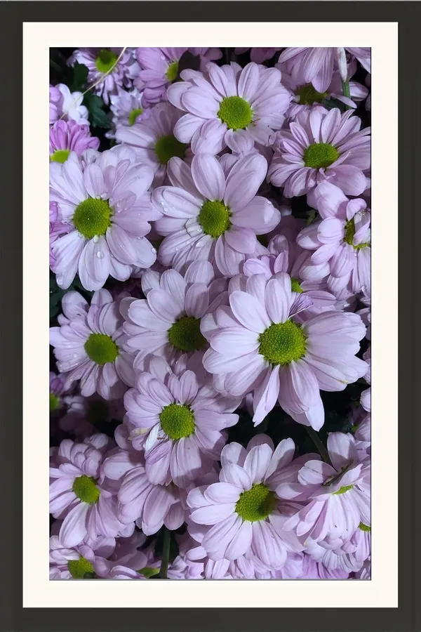 SunFlower_Wall_Hanging_Framed_Photo_Without_Glass