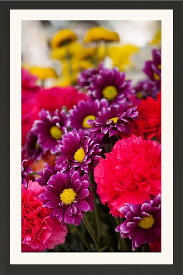 Chrysanthemum_Without_Glass__Framed_Photo_Wall_Hanging_Without_Glass