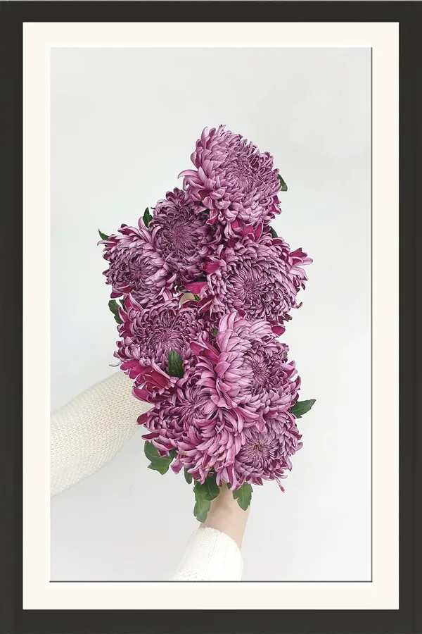 Chrysanthemum_Flower_Framed_Photo_Wall_Hanging_Without_Glass