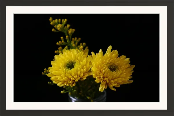 Chrysanthemum_Flower_Wall_Hanging_Frame_Without_Glass