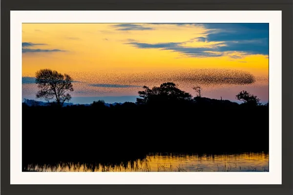 Sunset_Landscape_Framed_Photo_Wall_Hanging_Without_Glass