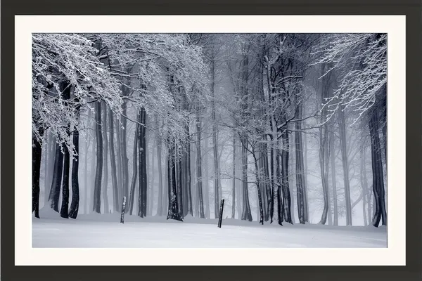 Winter_Forest_Landscape_Wall_Art_Frosted_Trees_Photo_Frame_Without_Glass