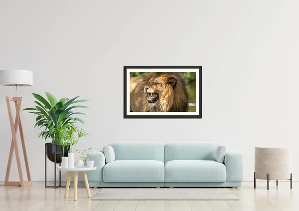 Roaring_Lion_Close-Up_Wall_Art_|_Powerful_Wildlife_Photo_Frame_Without_Glass