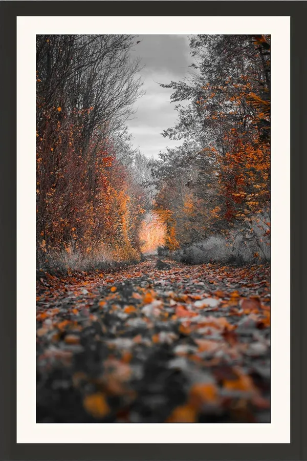 Autumn_Forest_Landscape_Wall_Art_Fallen_Leaves_Photo_Frame_Without_Glass