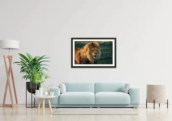 Lion_Watching_His_Target_To_Eat_|_Lion_Portrait_on_Dark_Green_Blurred_Background_Wall_Art_|_Wildlife_Photo_Frame_Without_Glass