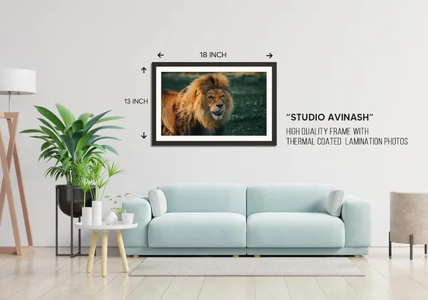 Lion_Watching_His_Target_To_Eat_|_Lion_Portrait_on_Dark_Green_Blurred_Background_Wall_Art_|_Wildlife_Photo_Frame_Without_Glass