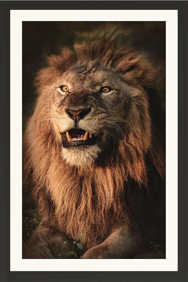Golden_Lion_Roaring_Portrait_Wall_Art_|_Powerful_Wildlife_Photo_Frame_Without_Glass