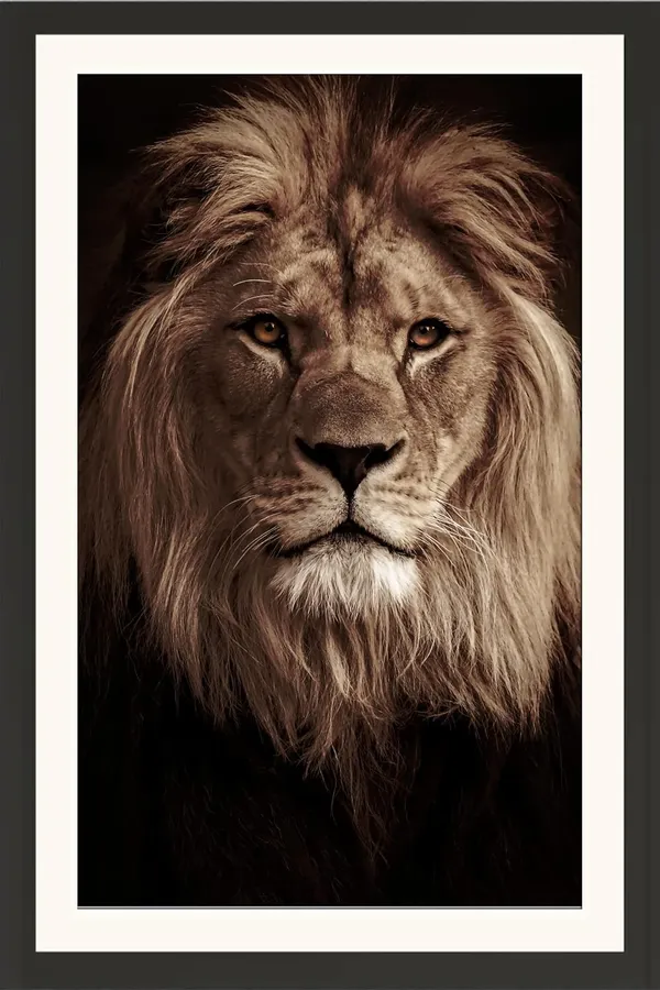 White_Maned_Lion_Portrait_Wall_Art_|_Majestic_Wildlife_Photo_Frame_Without_Glass