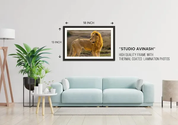 Lion_Standing_in_the_Wild_Photo_Frame_Wihtout_Glass_|_African_Safari_Wall_Art_for_Living_Room