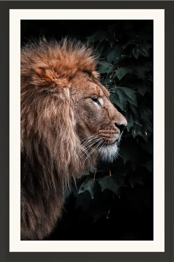 Lion_Side_Profile_Portrait_Wall_Art_|_Wildlife_Photo_Frame_Without_Glass_for_Home_Décor
