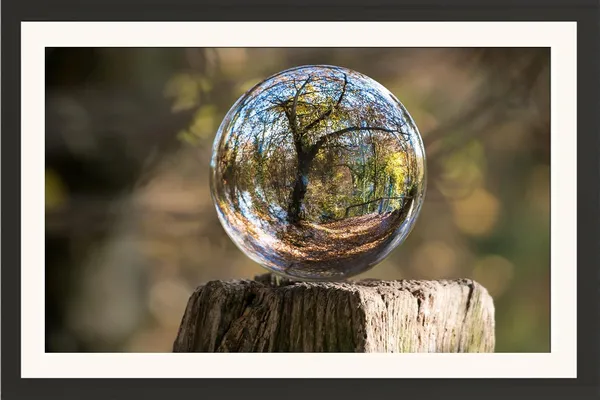 Glass_Sphere_Landscape_Wall_Art_Forest_Reflection_Photo_Frame_Without_Glass