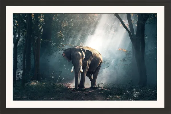 Elephant_Landscape_Wall_Art_Sunbeam_Forest_Photo_Frame_Without_Glass
