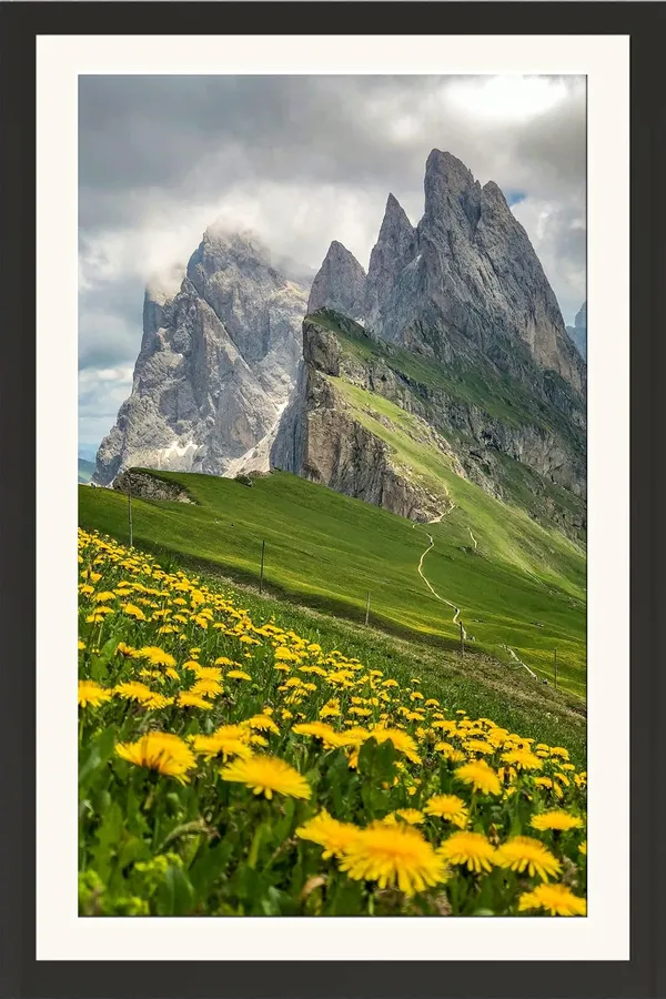 Dolomites_Mountain_Landscape_Wall_Art_Dandelion_Field_Photo_Frame_Without_Glass