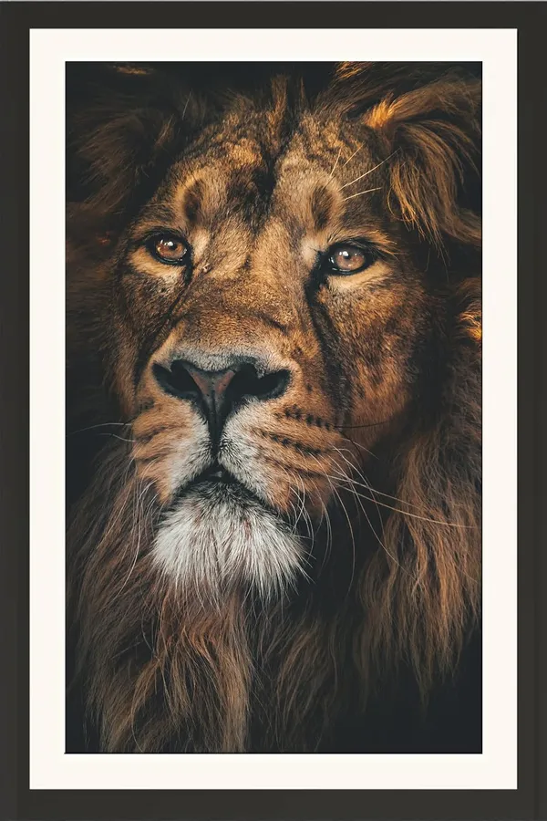 Lion_Eyes_Close-Up_Portrait_Wall_Art_|_Wildlife_Photography_Frame_Without_Glass