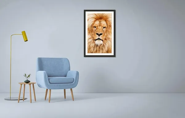 Golden_Hour_Lion_Portrait_Wall_Art_|_Wildlife_Photography_Frame