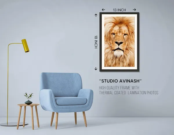 Golden_Hour_Lion_Portrait_Wall_Art_|_Wildlife_Photography_Frame