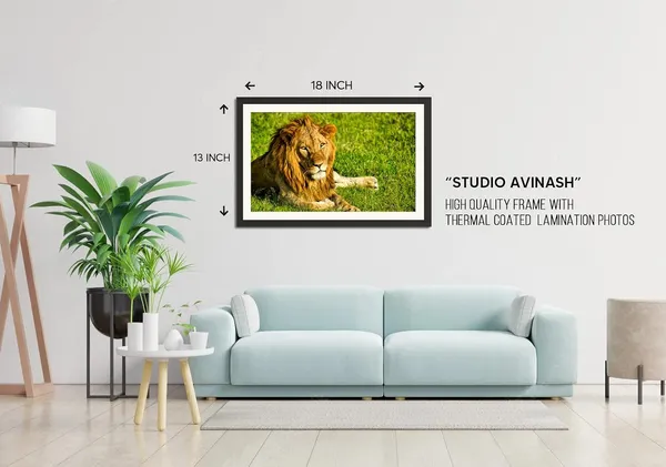 Lion_Resting_on_Green_Grass_Wall_Art_|_Wildlife_Photography_Frame_Without_Glass_for_Home_Décor