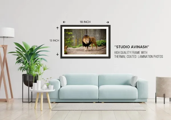 Wandering_Lion_in_the_Wild_Wall_Art_|_Wildlife_Photography_Frame_Without_Glass