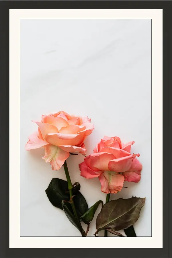 Musk_Rose_Flower_Framed_Photo_Without_Glass
