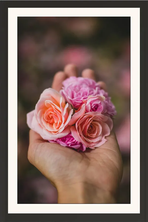 Pink_Rose_Flower_Photo_Frame_Without_Glass