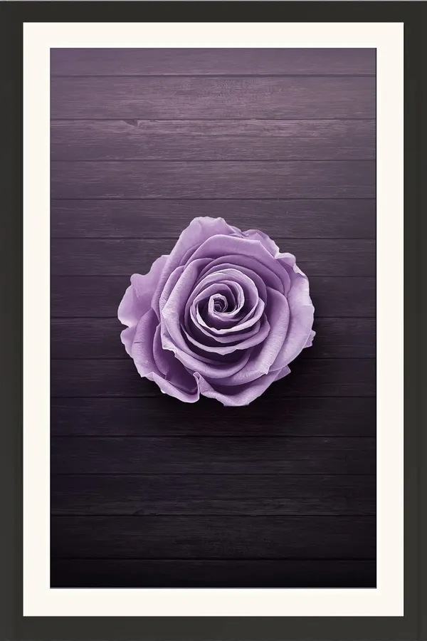 Pure_Pink_Rose_Framed_Flower_Wall_Hanging_Photo_Without_Glass