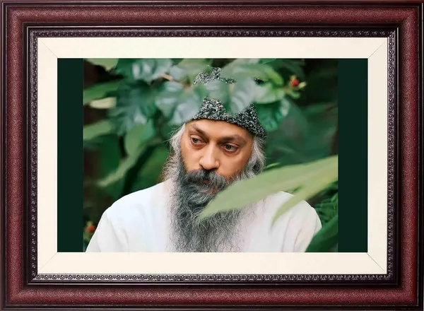 Acharya_Rajneesh_Osho_Deep_Green_Foliage_Photo_Frame_Without_Glass_|_Detail_Set_Deep_in_Green