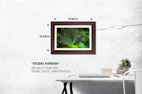 Dancing_Peacock_in_the_Wild_Vastu_Art_with_Ornate_Frame_|_Royal_Lucky_Prosperity_Frame_Without_Glass