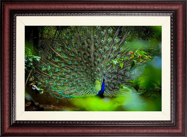 Dancing_Peacock_in_the_Wild_Vastu_Art_with_Ornate_Frame_|_Royal_Lucky_Prosperity_Frame_Without_Glass