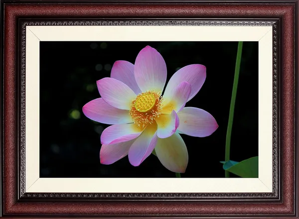Laxmi_Lotus_Flower_Photo_Frame_Without_Glass