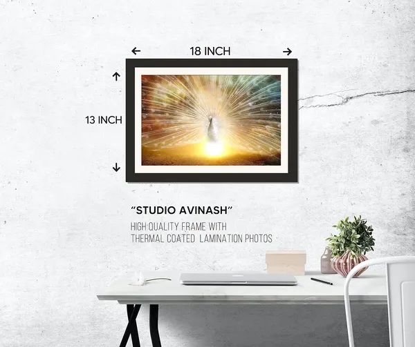 Radiant_White_Peacock_Sunburst_Vastu_Art_|_Divine_Light_Lucky_Frame_Without_Glass_for_Blessings_&_Abundance_