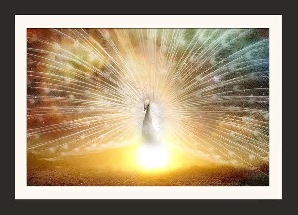 Radiant_White_Peacock_Sunburst_Vastu_Art_|_Divine_Light_Lucky_Frame_Without_Glass_for_Blessings_&_Abundance_