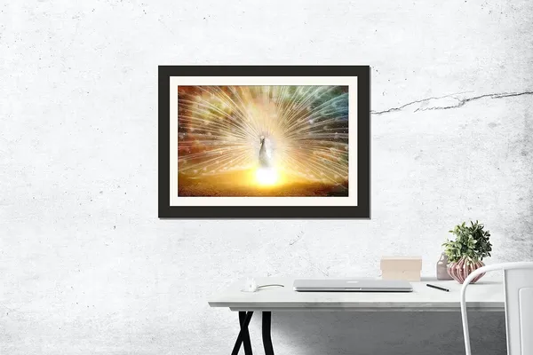 Radiant_White_Peacock_Sunburst_Vastu_Art_|_Divine_Light_Lucky_Frame_Without_Glass_for_Blessings_&_Abundance_