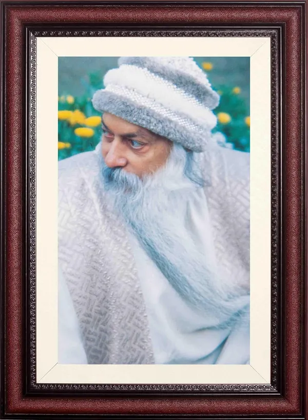 Acharya_Rajneesh_Osho_Garden_Gathering_Photo_Frame_Without_Glass_|_A_Quiet_Company_Outdoors