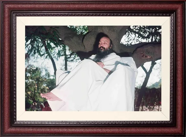 Rajneesh_Osho_Photo_Reclining_Under_Tree_Frame_Without_Glass