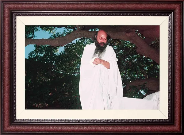 Osho_Rajneesh_Photo_Praying_Under_Trees_Frame_Without_Glass