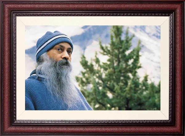 Osho_Rajneesh_Mountain_Pine_Portrait_Without_Glass_|_Serenity_Among_Evergreens_Frame