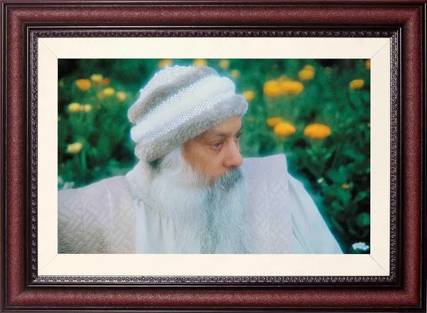 Acharya_Rajneesh_Osho_Marigold_Close_Photo_Frame_Without_Glass_|_Framed_in_Gold_and_Green