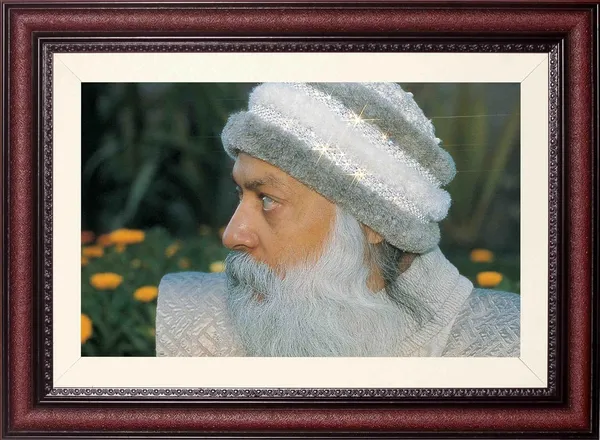 Acharya_Rajneesh_Osho_Deep_Green_Profile_Photo_Frame_Without_Glass_|_Calm_Against_the_Foliage