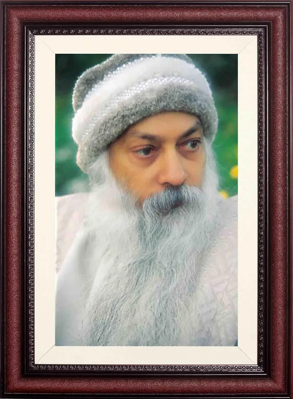 Cute_Acharya_Rajneesh_Osho_Garden_Close_Up_Photo_Frame_Without_Glass_|_A_Face_Softened_by_Nature