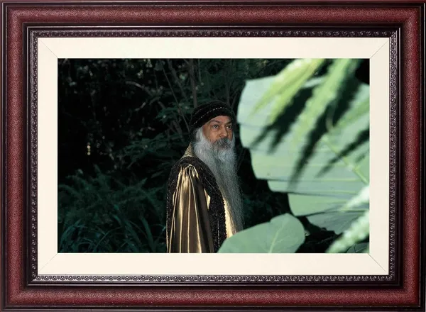 Acharya_Rajneesh_Osho_Beneath_the_Broad_Leaves_Photo_Frame_Without_Glass_|_A_Quiet_Green_Retreat
