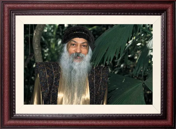 Acharya_Rajneesh_Osho_Among_the_Leaves_Photo_Frame_Without_Glass_|_Hidden_in_Green_Stillness