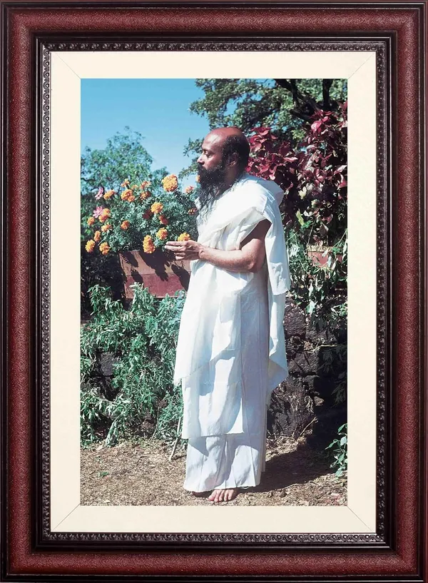 Rajneesh_Osho_Photo_Garden_Blossom_Frame_Without_Glass