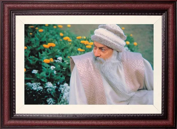 Acharya_Rajneesh_Osho_Garden_Seated_Photo_Frame_Without_Glass_|_An_Afternoon_Among_Marigolds