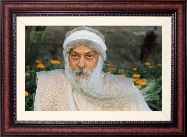 Acharya_Rajneesh_Osho_Marigold_Garden_Photo_Frame_Without_Glass_|_Warmth_Among_the_Blossoms